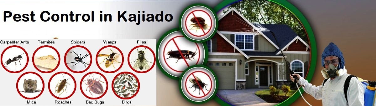 pest control services in Kajiado