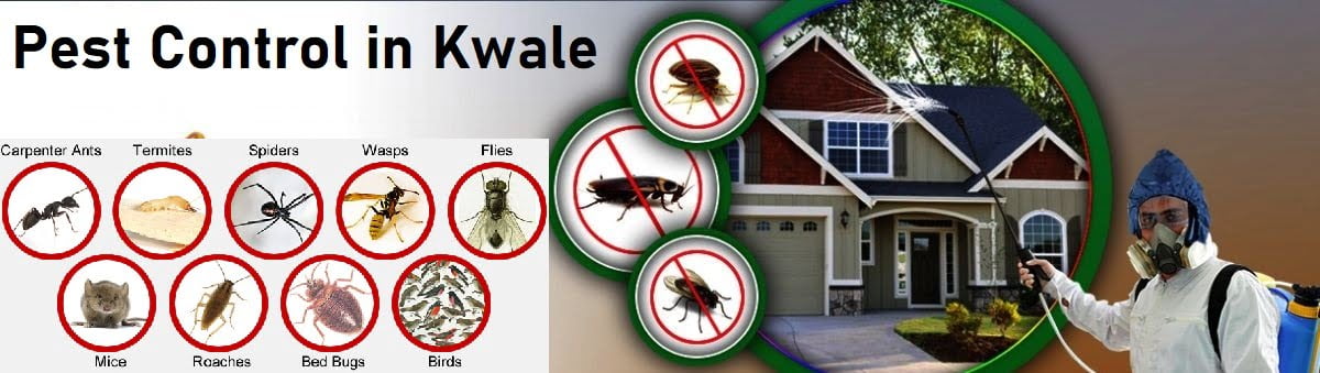 pest control services in Kwale