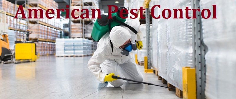 American fumigation and pest control services American fumigation and pest control services