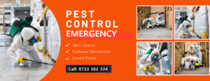 Emergency pest control services
