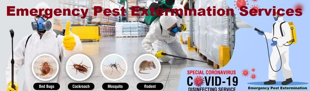 Emergency pest extermination services