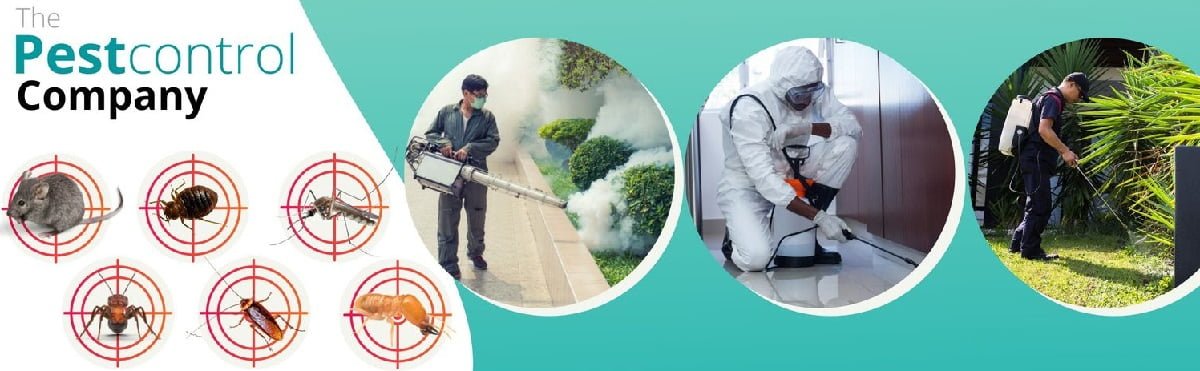 Fumigation and pest control in Africa