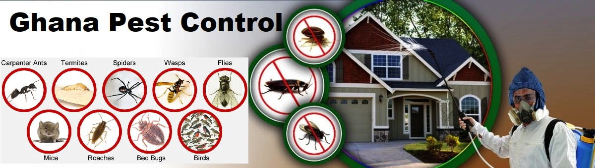 Fumigation and pest control services in Ghana Accra