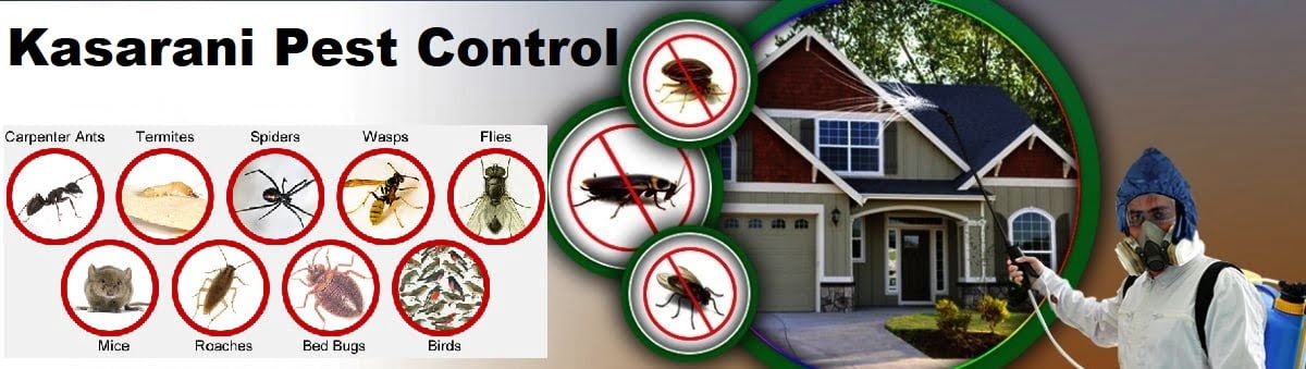Fumigation and pest control services in Kasarani Nairobi