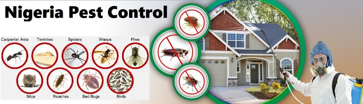 Fumigation and pest control services in Nigeria Abuja Lagos