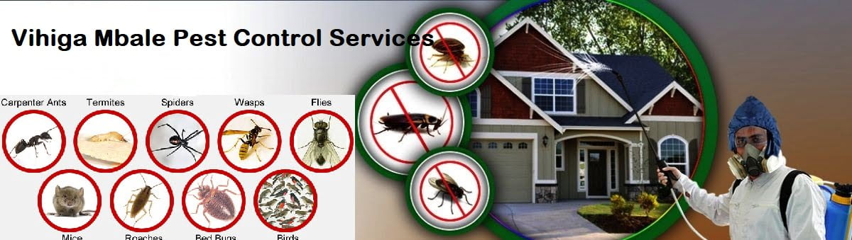 Fumigation and pest control services in Vihiga Mbale