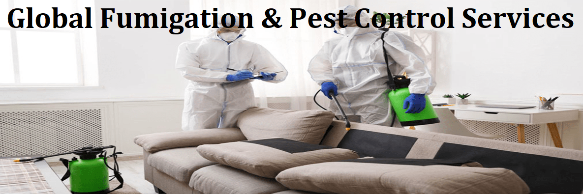 Global fumigation and pest control services