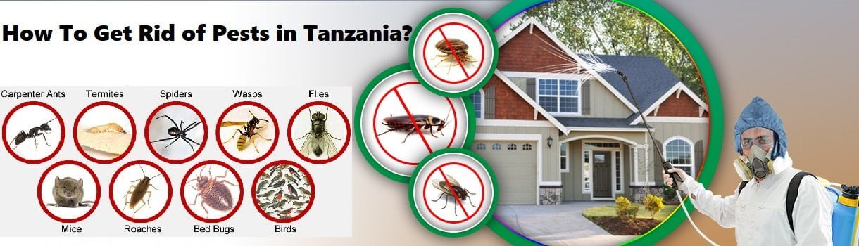 How to get rid of of pests in Tanzania