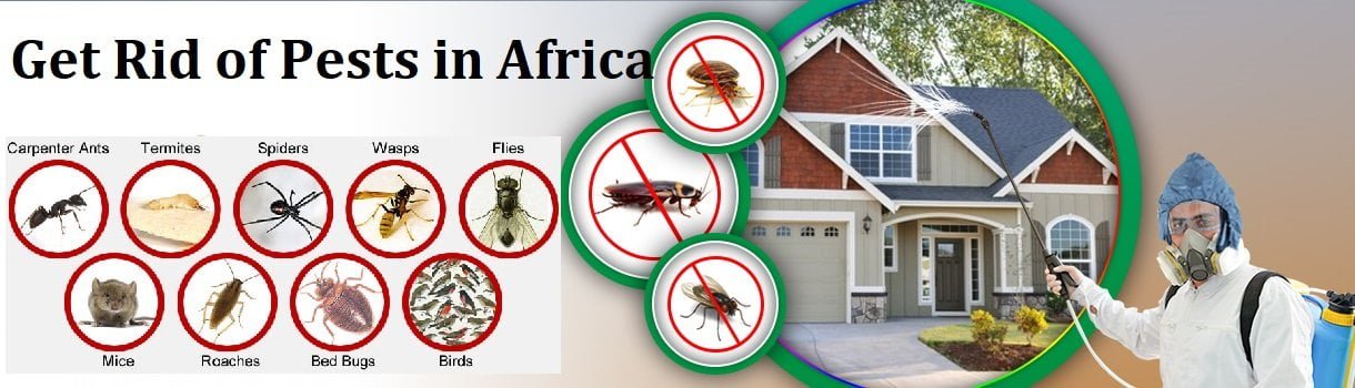 How to get rid of pests in Africa?