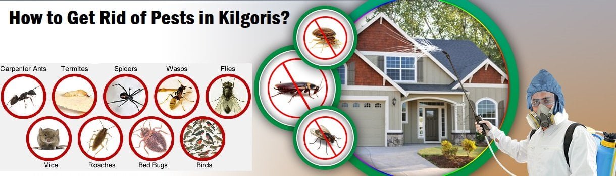 How to get rid of pests in Kilgoris