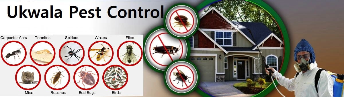 Ukwala fumigation and pest control services
