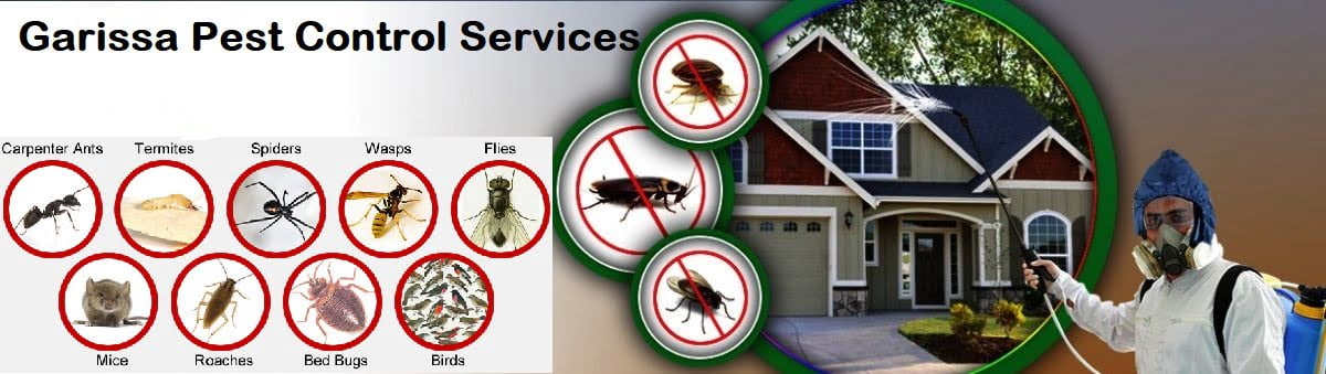 fumigation and pest control services in Garissa