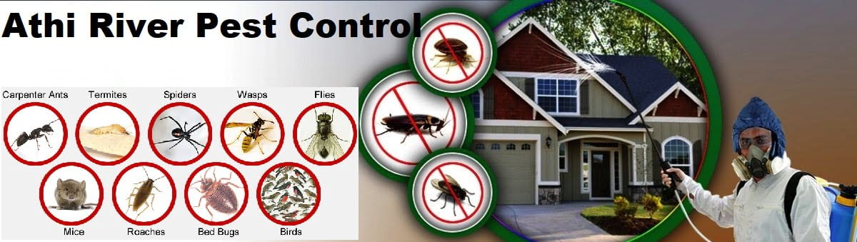Fumigation and pest control services in Athi River