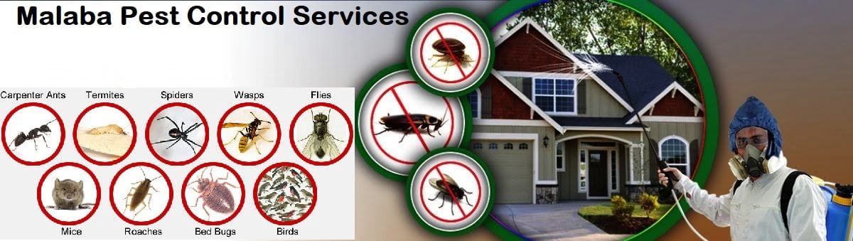 fumigation & pest control services in Malaba Busia