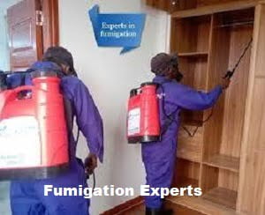 Fumigation services in Karen Fumigation services in Karen