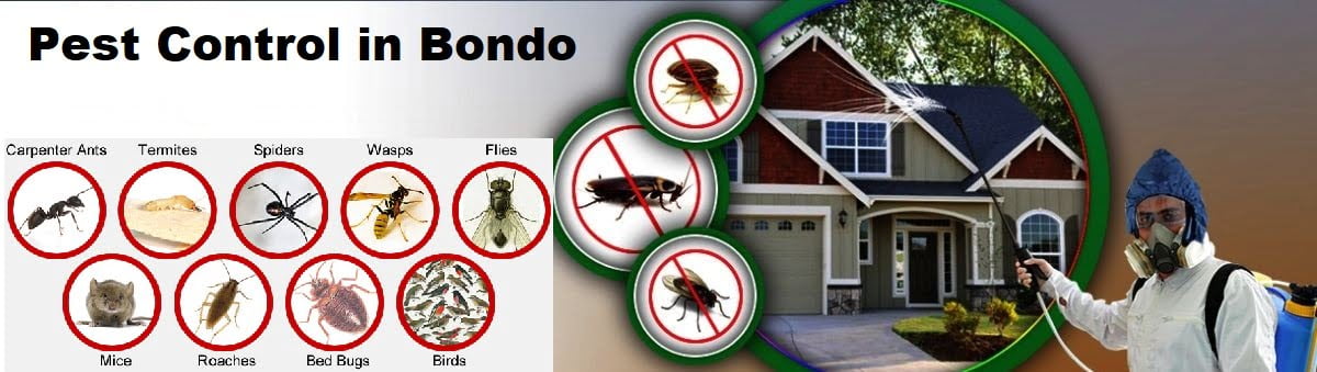 pest control services in Bondo