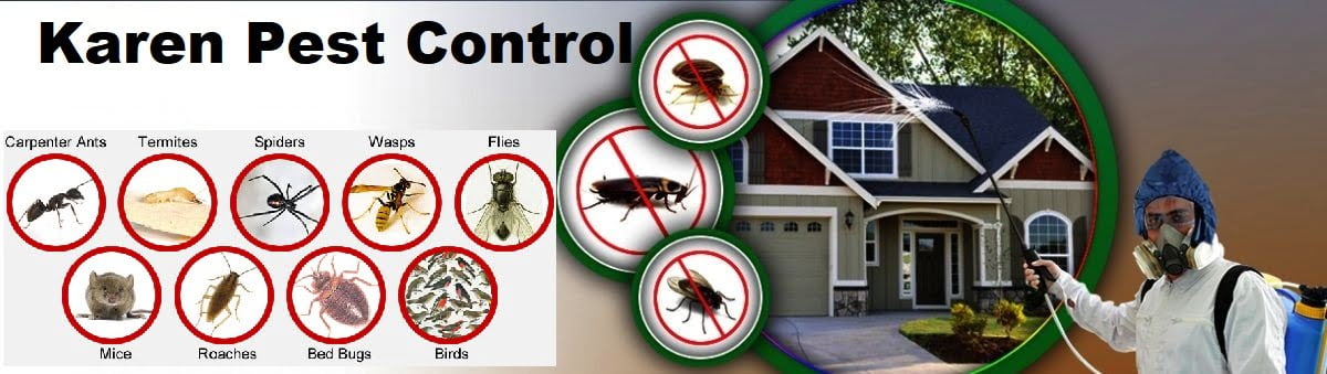 pest control services in Karen Nairobi