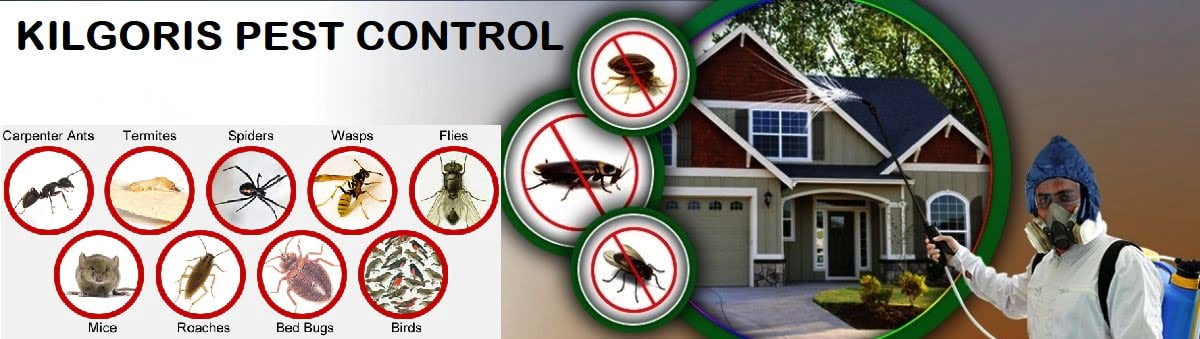 pest control services in Kilgoris