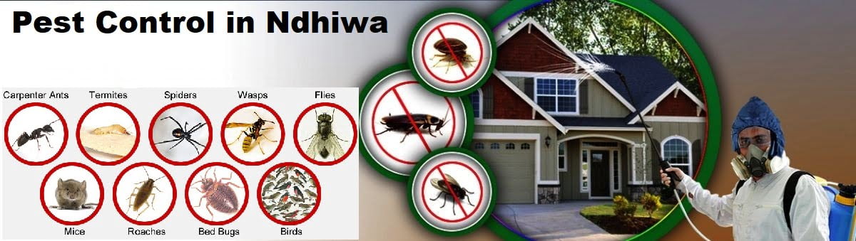 pest control services in Ndhiwa