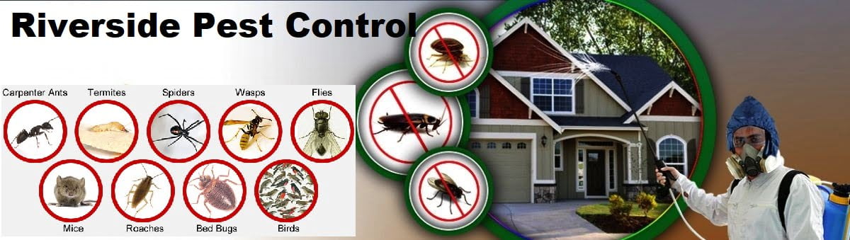 pest control services in Riverside Nairobi