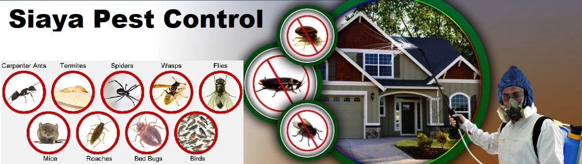 pest control services in Siaya