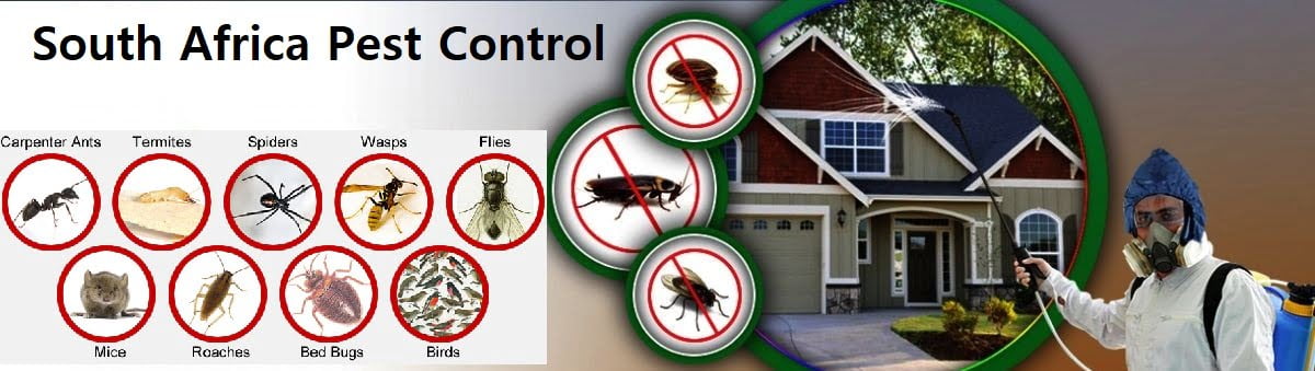 pest control services in South Africa