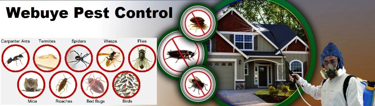 pest control services in Webuye