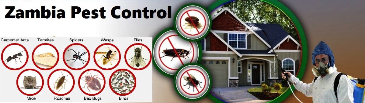 pest control services in Zambia Lusaka