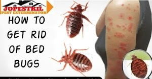 Fumigation and pest control services in Lamu