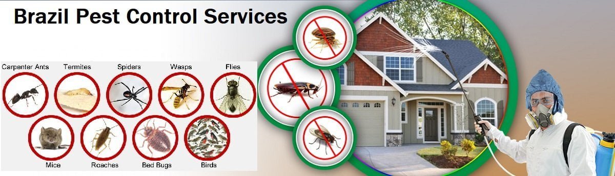 Fumigation and pest control services in Brazil