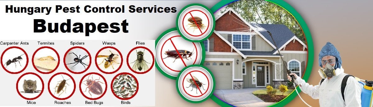 Fumigation and pest control services in Hungary Budapest