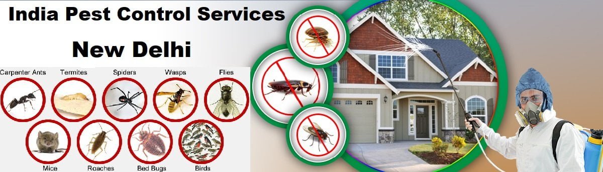 Fumigation and pest control services in India New Delhi