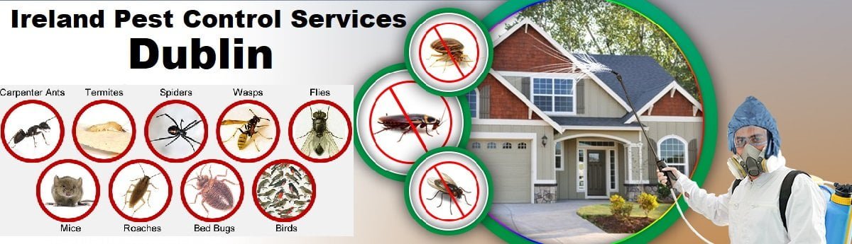 Fumigation and pest control services in Ireland
