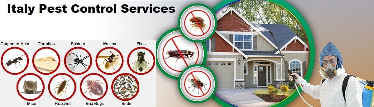 Fumigation and pest control services in Italy Rome