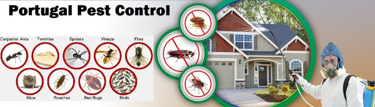 Fumigation and pest control services in Lisbon Portugal