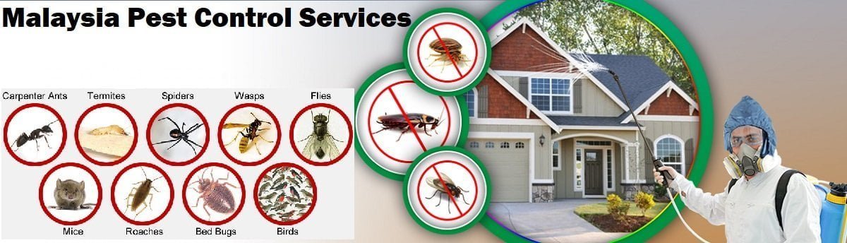 Fumigation and pest control services in Malaysia
