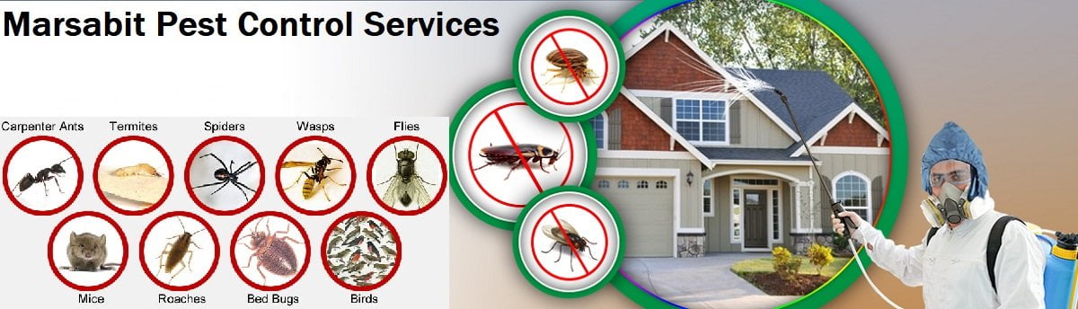 Fumigation and pest control services in Marsabit