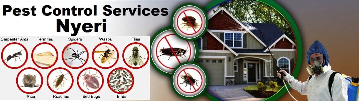 Fumigation and pest control services in Nyeri