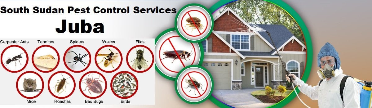 Fumigation and pest control services in South Sudan Juba
