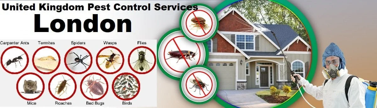 Fumigation and pest control services in United Kingdom London