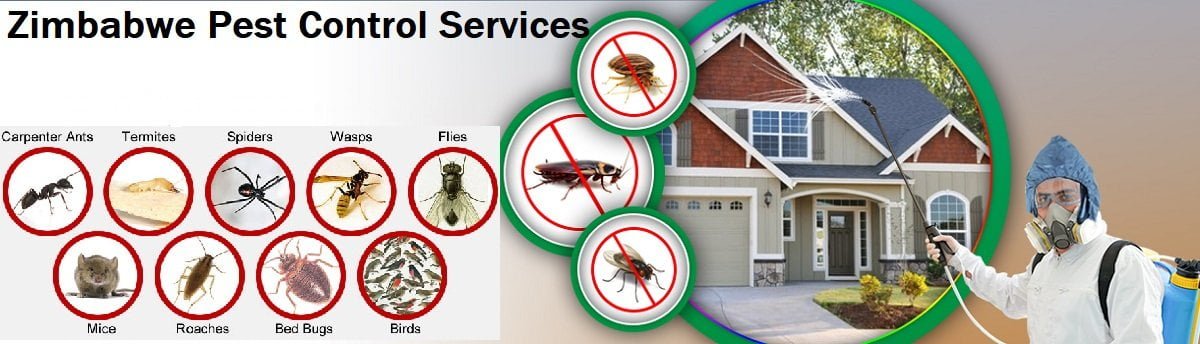 Fumigation and pest control services in Zimbabwe Harare