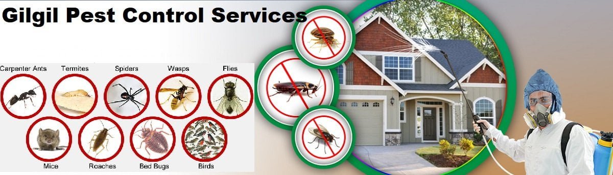 Fumigation and pest control services in Gilgil