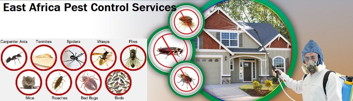 Fumigation & pest control services in East Africa