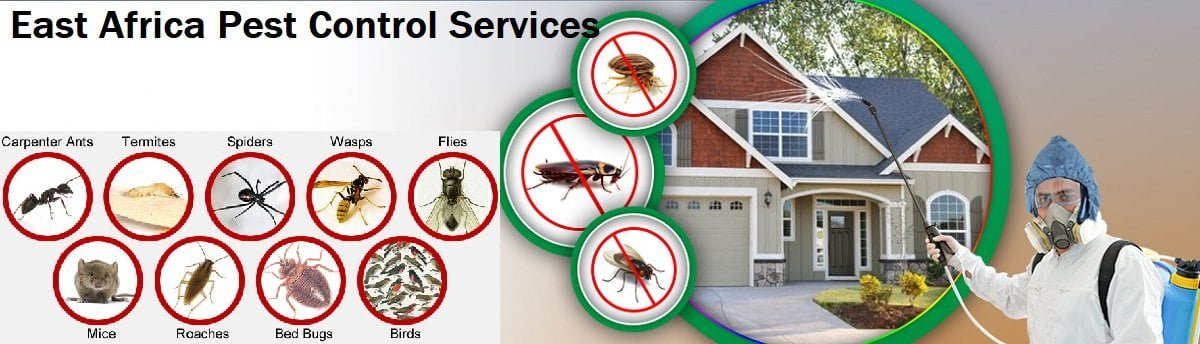 Fumigation pest control services in East Africa Fumigation & pest control services in East Africa