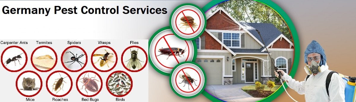 Fumigation & pest control services in Germany Berlin