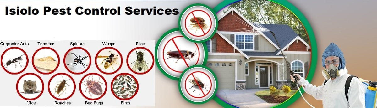 Fumigation & pest control services in Isiolo
