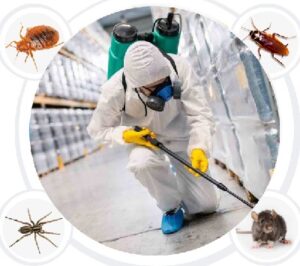 Fumigation services in Lavington