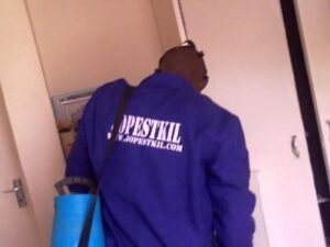 Kakamega pest control services