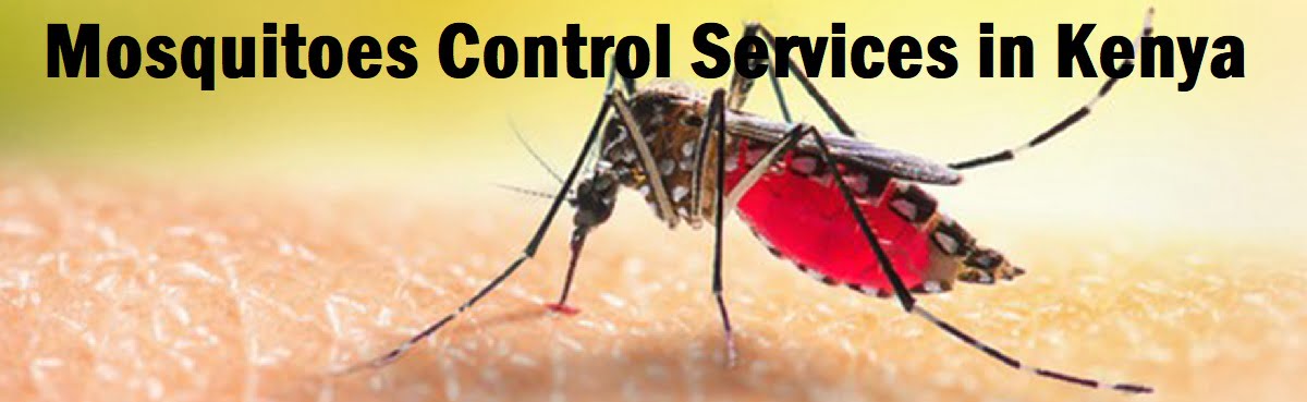 Mosquitoes control services Kenya