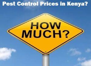Pest control prices in Kenya Pest control prices in Kenya